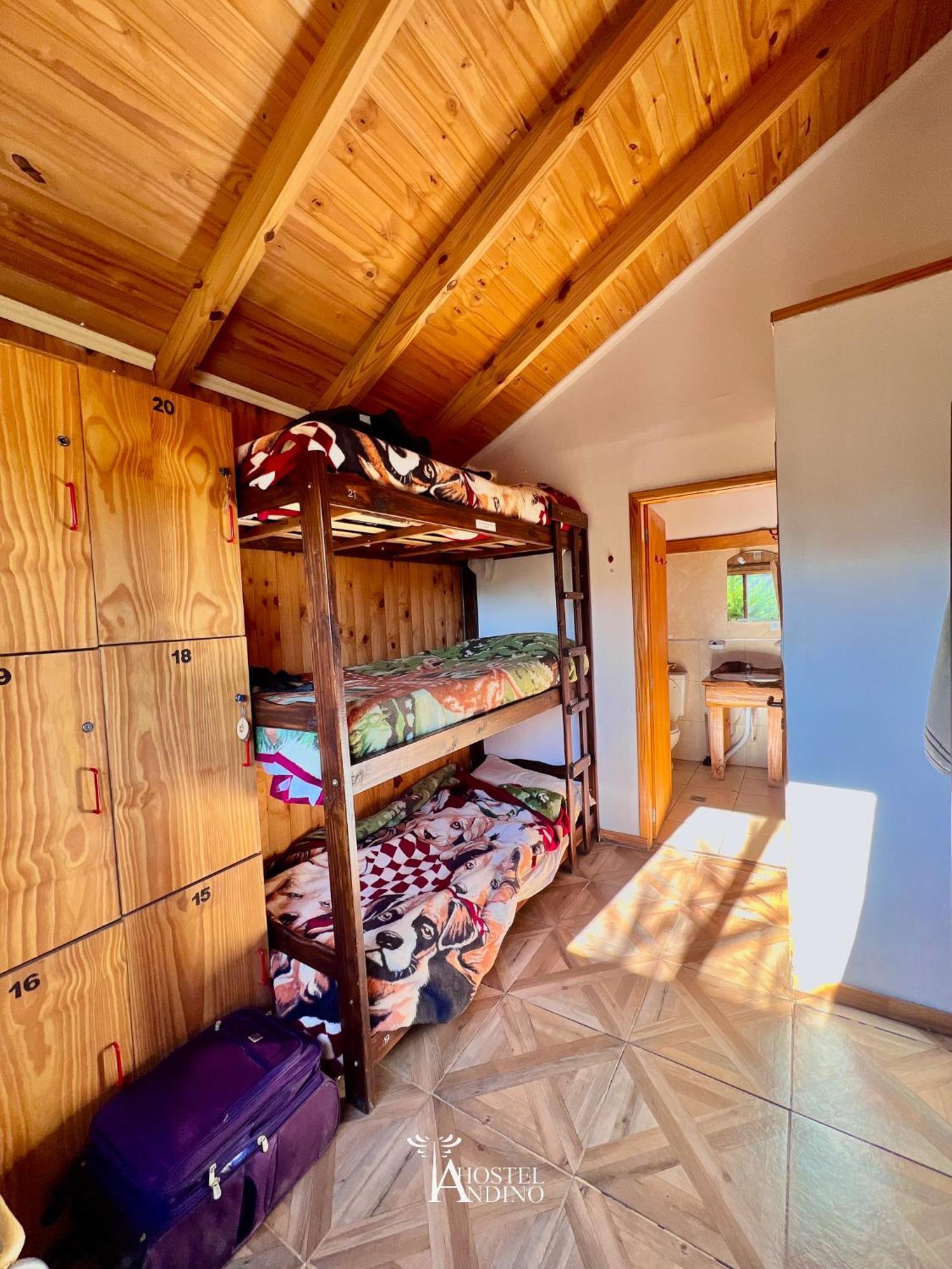 Hostel Andino Villa Pehuenia Bagian luar foto