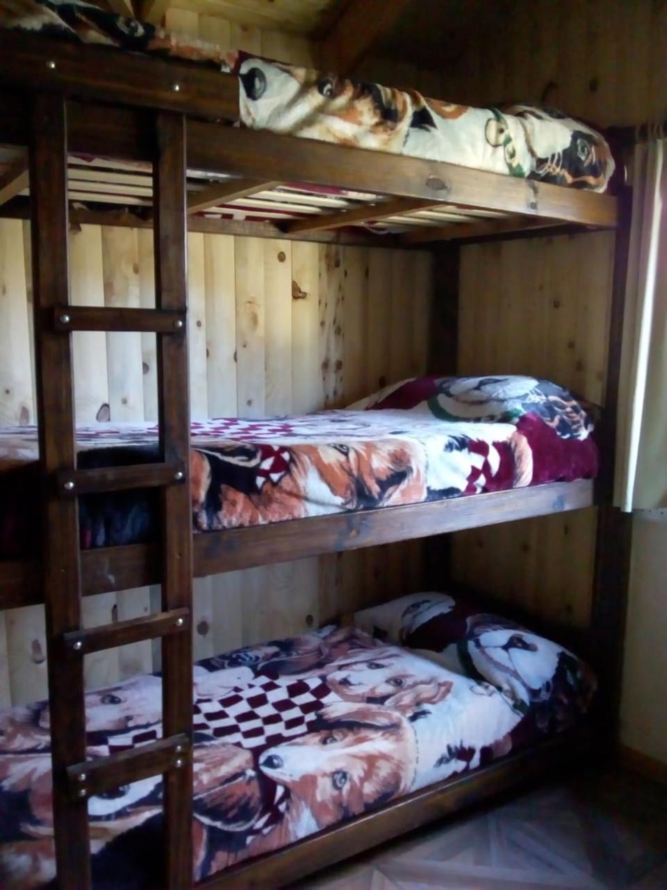 Hostel Andino Villa Pehuenia Bagian luar foto